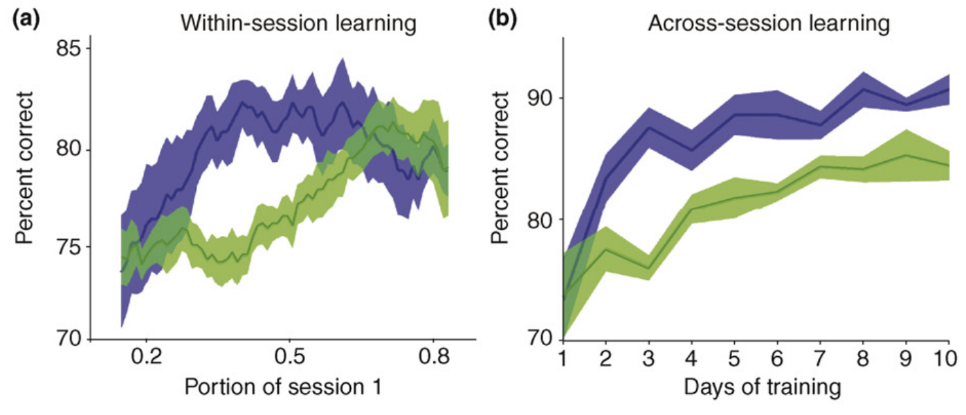 Multisensory learning graph from Seitz, Kim, &amp; Shams 2006